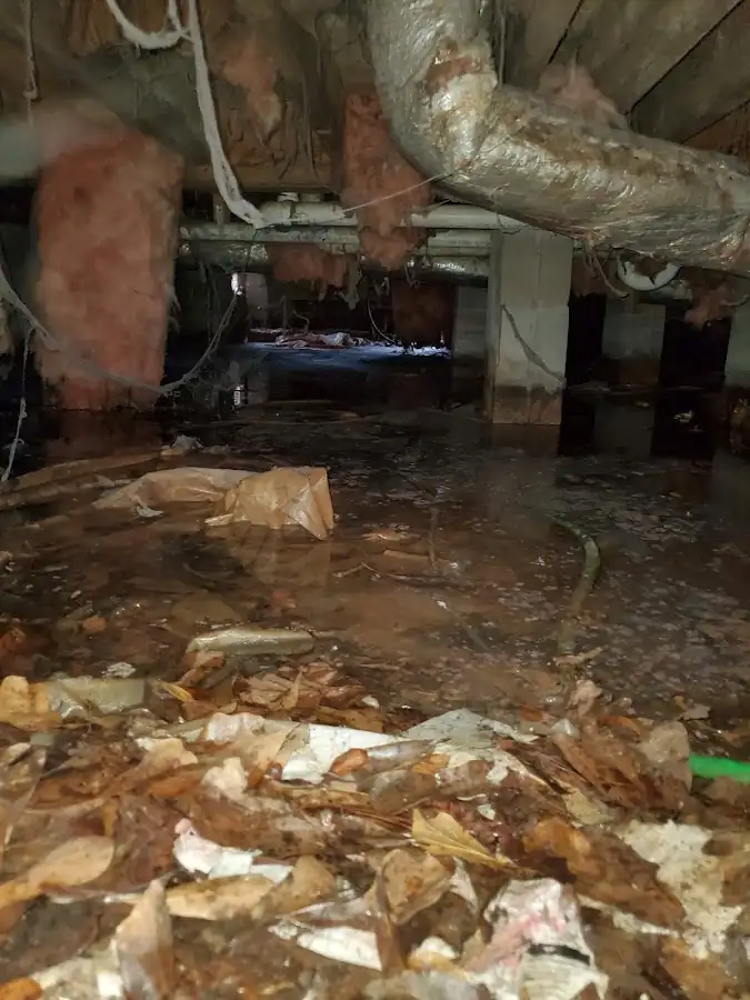 Crawl space flood assessment for Commercial Water Damage Restoration in Thompson